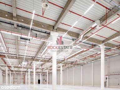 Magazyn 18670 m2 Racibórz - 0% prowizji