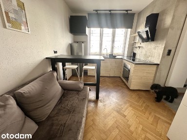 Kawalerka w centrum Poznania, koło Kaponiery!