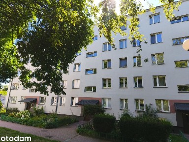 3 pokoje w bloku na Borkach