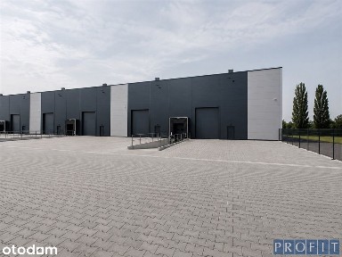 Moduł 1300m2 | h-8m | 2X poziom 0/dok | nowa hala