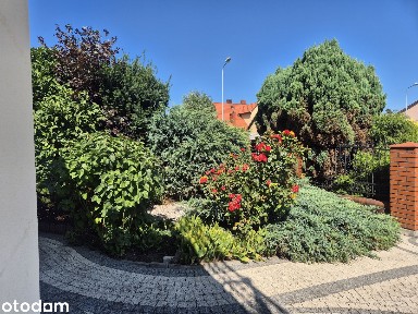 Komfortowy Dom w Zabudowie Szeregowej - Narożny !