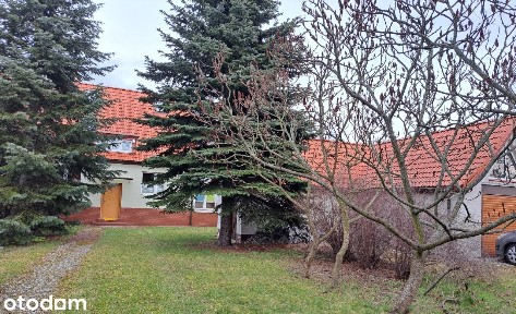 Siechnice Centrum Dom Luksus Garaż Rent