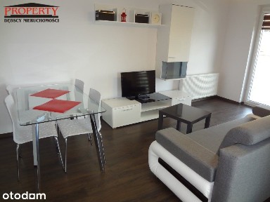 Apartament - Salon Z Aneksem Sypialnym, Kuchnia