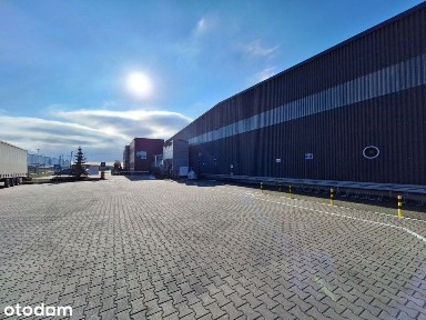 zakład produkujący węgiel drzewny i brykiet węgla drzewnego