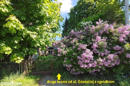 Styl sopockich willi - unikalny dom z duszą - Jantar