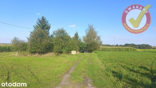 Zamek Bierzgłowski, Łubianka, toruński, kujawsko-pomorskie