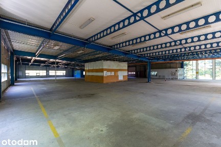 Hala produkcyjna - 1774m2