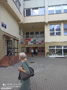 Lokal biurowy w centrum Zielonej Góry