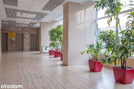 Ścisłe centrum - okazja - 13,9tys./m2