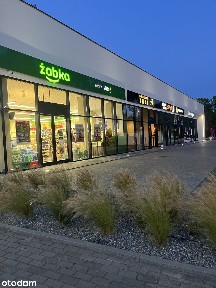 Lokal użytkowy, 50 m², Łódź
