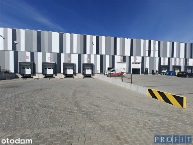 Moduł magazynowy 1000m2| poziom 0/2X dok | h:10,5m