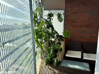 bezpośrednio 2 pokojowe w apartamentowcu nad Odrą