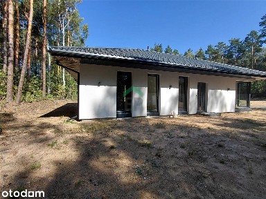Nowy parterowy dom w otoczeniu zieleni