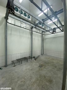 Nieruchomość przemysłowa z budynkami produkcyjno-magazynowymi - Lisewo