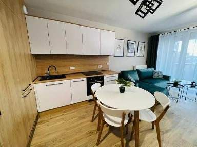 Komfortowy Apartament 1 pok, 30 m, Fa VAT, Centrum, ul. Garbary 5, przy WSG, Wyspie Młyńskiej, Bezpośrednio