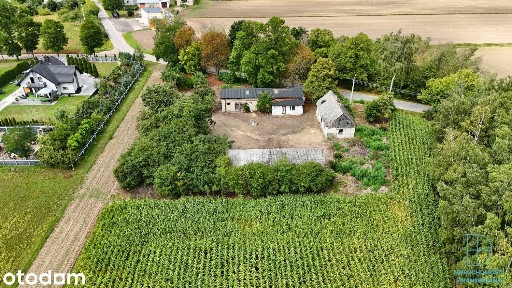Wola Nowska, Krośniewice, kutnowski, łódzkie