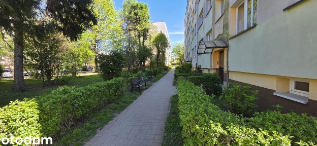 Mieszkanie na parterze do wynajęcia Dzierżoniów