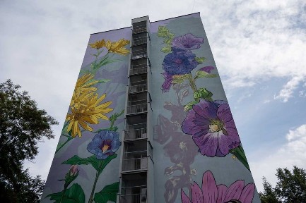 Do wynajęcia 2 pokojowe, Kozówek 38 m2