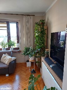 Mieszkanie w centrum Sosnowca