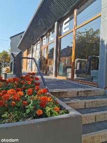 lokal na sprzedaż w centrum