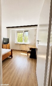 Śródmieście wśród zieleni i ciszy! To możliwe?
