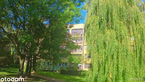Bytków ul. Wróblewskiego 3-pokojowe mieszkanie z dużym balkonem