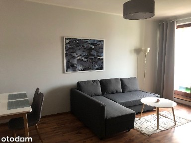 W centrum, po niedawnym remoncie, kompletnie wyposażone