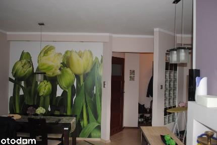 ul. Szeroka, Koszalin, zachodniopomorskie