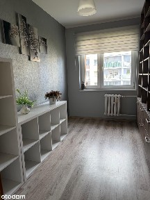 Duże mieszkanie z widokiem na las i przestronną kuchnią