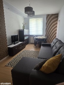 Atrakcyjne mieszkanie w centrum Plocka