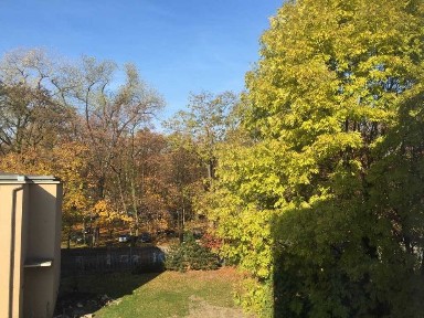 funcjonalna kawalerka blisko ŚUM, z wydzieloną sypialnią. Widok na park