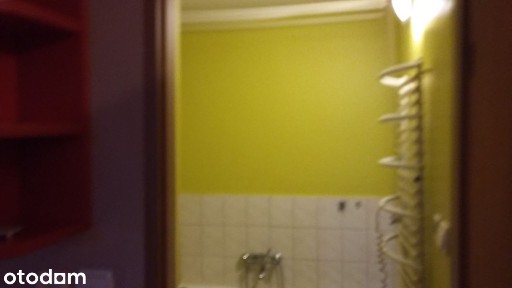 Kawalerka do wynajęcia w Chełmnie