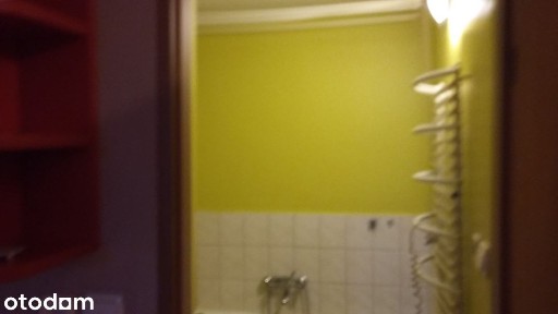 Kawalerka do wynajęcia w Chełmnie