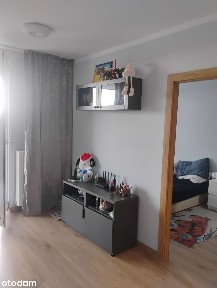 Wynajem 2-pokojowego mieszkania z balkonem