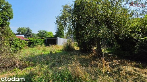 Tychy, Zwierzyniec, dom wolnostojący blisko lasu