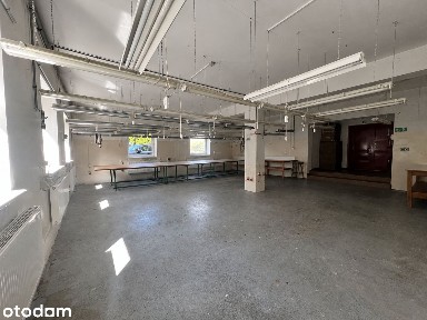 Uniwersalny lokal 110 m² na parterze - Teren ogrodzony, parking
