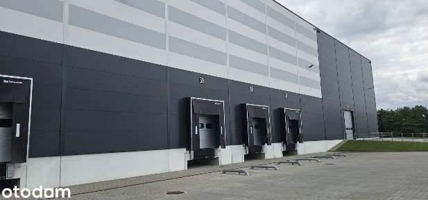 Magazyn Syców przy drodze S8 - bez pośredników - OKAZJA (1000-8000m2)