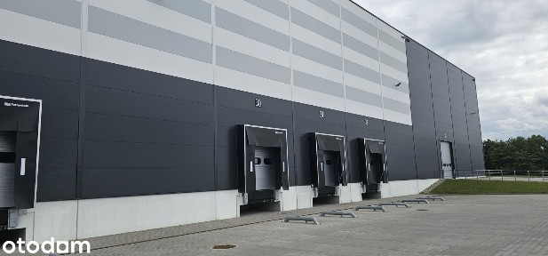 Magazyn Syców przy drodze S8 - bez pośredników - OKAZJA (1000-8000m2)