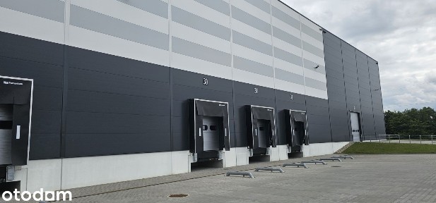 Magazyn (opcja obsługi) Syców przy S8 bezpośrednio OKAZJA 500-8000m