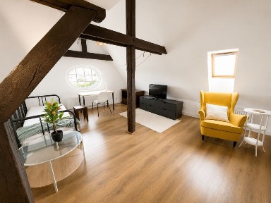 Loftowa duża kawalerka 40m2 Jeżyce Mickiewicza w zrewitalizowanej kamienicy
