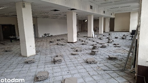 Powierzchnia do wynajęcia DH Podwale całość lub podział na lokale