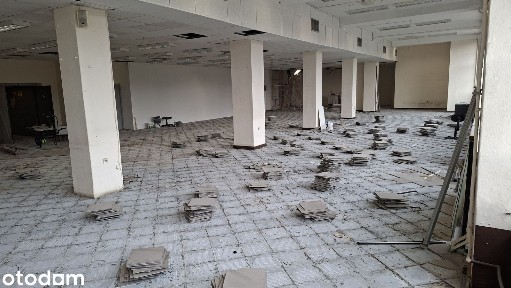 Powierzchnia do wynajęcia DH Podwale całość lub podział na lokale