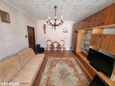 Duża, funkcjonalna kawalerka na Mickiewicza !