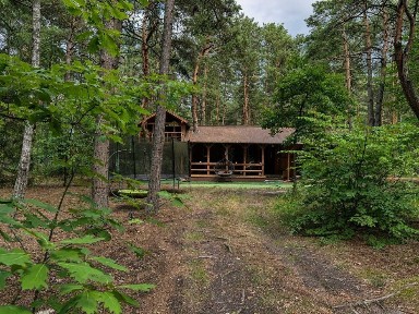 Wilga Dom 4 pokoje, duża działka, domek na drzewie