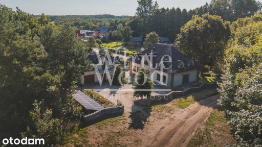 Nieruchomość w otoczeniu zieleni Sasino