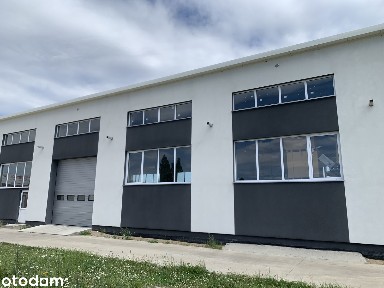 Hala/Magazyn, 210 m², Toruń