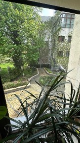 Małopolskie, Kraków, Stare Miasto