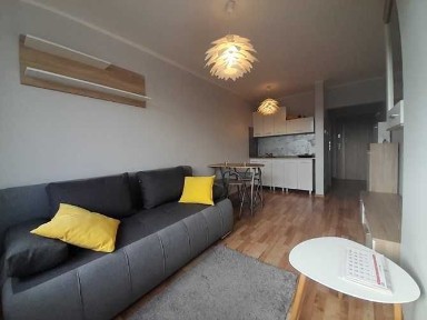 *Czapliniecka 44E, Bełchatów, słoneczne studio, BRAK PROWIZJI