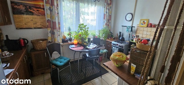 Mieszkanie 1-pok.balkon,ul. 11 Listopada