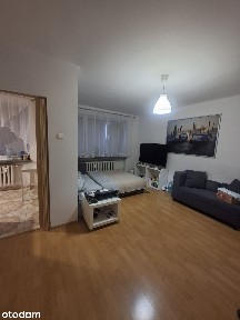 Mieszkanie 1-pokojowe w Rokitnicy, A+!